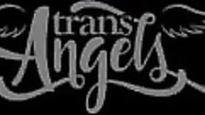 ”Trans gets tv technician's attention - Lena Moon”