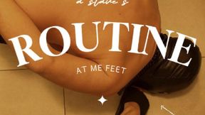 a slave's routine at my feet