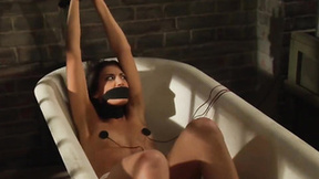 ”The Education of Erica: Stunning Lesbian Slaves Orgasming From Strapon”