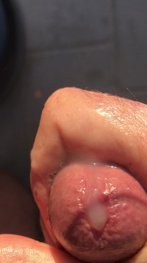 Wank in the February sunshine