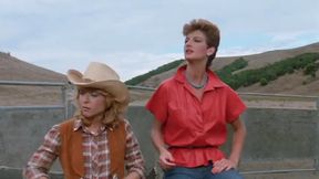 Vintage porn classic: Sheriff Nick fucks country girl Sharon Mitchell