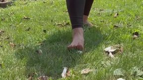 Giantess Squashing Mushrooms Between Her Toes