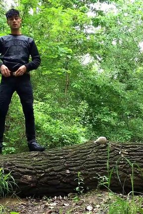 Piss From a Tree Trunk