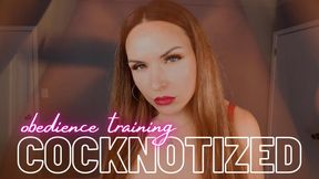 Cocknotized: Obedience Training Eye Contact Challenge