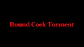 Cock Bondage Torment- wmv