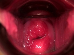 Brunette and her toys have close up masturbation sex
