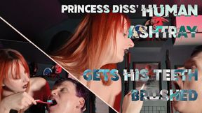 Princess Diss' Human Ashtray Gets His Teeth Brushed