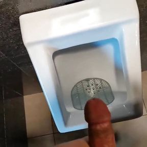 Play with my dick in airport WC