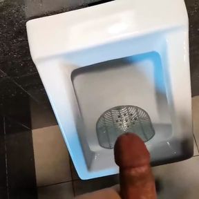 Play with my dick in airport WC