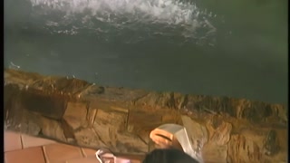 Horny Dark Skinned Island Girl Gets Fucked Outside- AssMania
