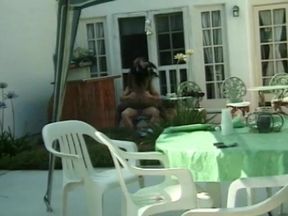 Black babe tastes white cock outdoors in all positions