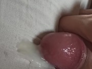 Acordei e pau duro e gozei no travesseiro