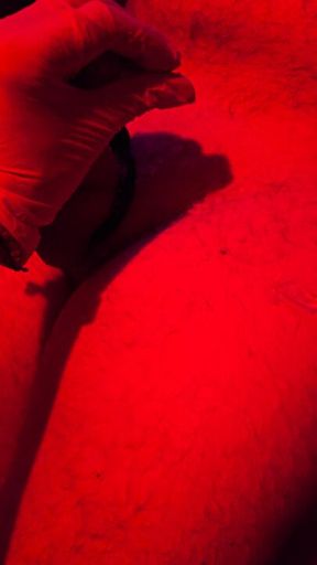 Tequila de sumiso 🫢