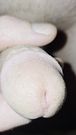 Two Sharing A Close Up Moment Of Arousal