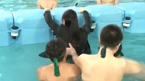 2012 SOD Swimming Competition