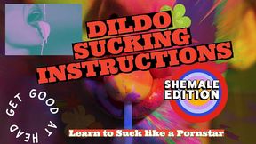 dildo sucking instructions the shemale has a big tasty cock and you are going to suck it