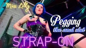 Miss Lilly fucks hard Her anal slut, a vicious pegging with Her strap-on!