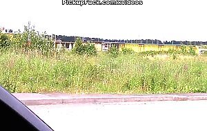 Girl sucks in the car on the roadside