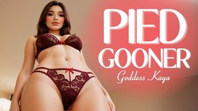 PIED Gooner