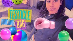 Testicle Punching Bag