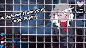 Caged Puppy Whimpers Femboy Gushes Cum Tsunami Tease