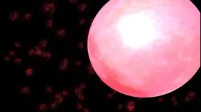 Radiant 8: Roommate's Dressing Room Tease