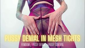 Pussy Denial in Mesh Tights