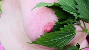 Whip my tits with nettles