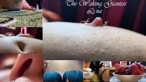 The Waking Giantess Lina fx