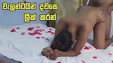 Dushaanii - update #2 - Very Hot Beautiful Girl Fuck With Best Friend After Collage on Valentines Day - Sri Lanka - Feb 28, 2024