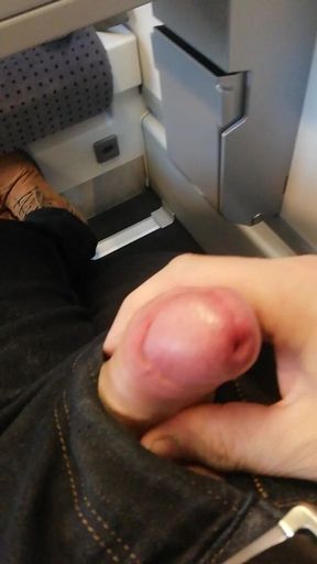 Wanking cock in train