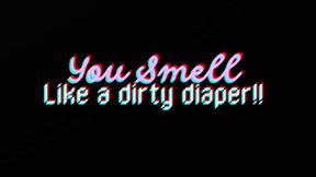 YOU SMELL LIKE A USED DIAPER
