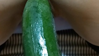 This slut deserves to have everything put into her, starting with a big cucumber