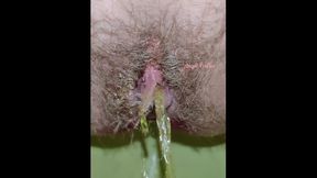 Hairy Creamy Pussy Pissing Loudly in the Toilet