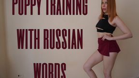 Puppy training with russian words