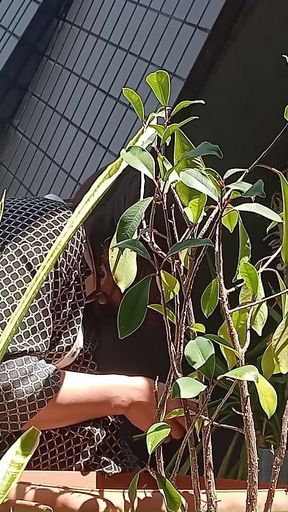 I Pee in the Potted Plant Again