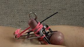 bondage and cbt with toys and fantasy