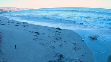 Stepson cheats with stepmom on the beach