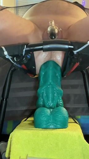 Bouncing on Hankey's Toys Xxl
