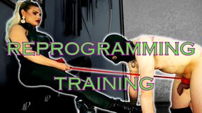Reprogramming training punishment: Mistress Lexy Noir reprograms you, no excuses training