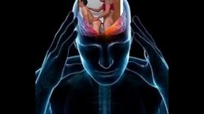 Manifestando PASIVOS ricos, mamadores garganta profunda y que se dejen pre&ntilde_ar para este 2025