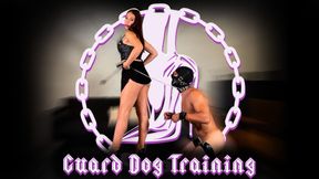 Guard Dog Training