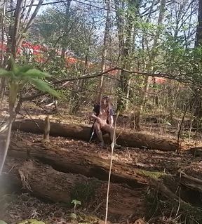 in the woods
