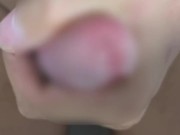 成人男性のオナニー