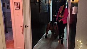 Are you a good pup