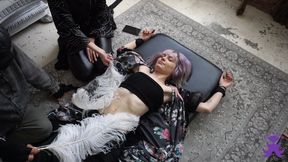 Sofia first ever tickling session part 2 (upper body) 720