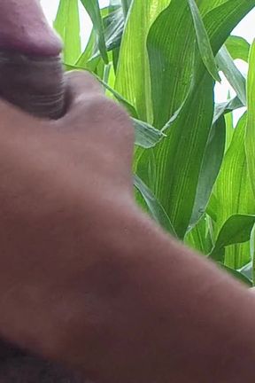 Worldwide Viral Desi Hunk Solo Action Part 4 - Premium Faceless Amateur Close-up Raw Stroking Session 4K