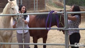 Missy Martinez & Lylith Lavey are Horny & Wet AF while Fucking in the Barn