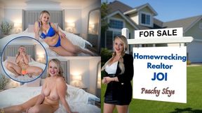 Homewrecking Realtor Pt 1