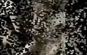 Real tranny hooker fucking slave guy